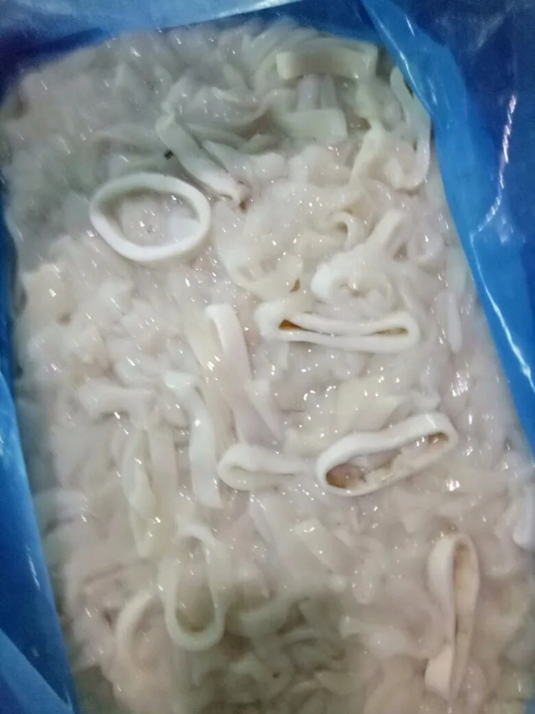 frozen pacific todarodes rings