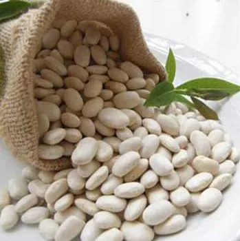 Chinese White Kidney Beans bulk package