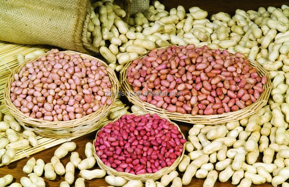high shelling rate peanut /groundnut shell /sheller removing machine