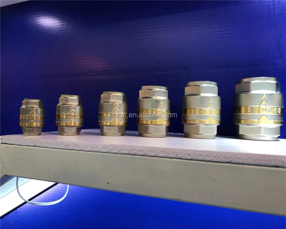 S4180 brass vertical spring check valve