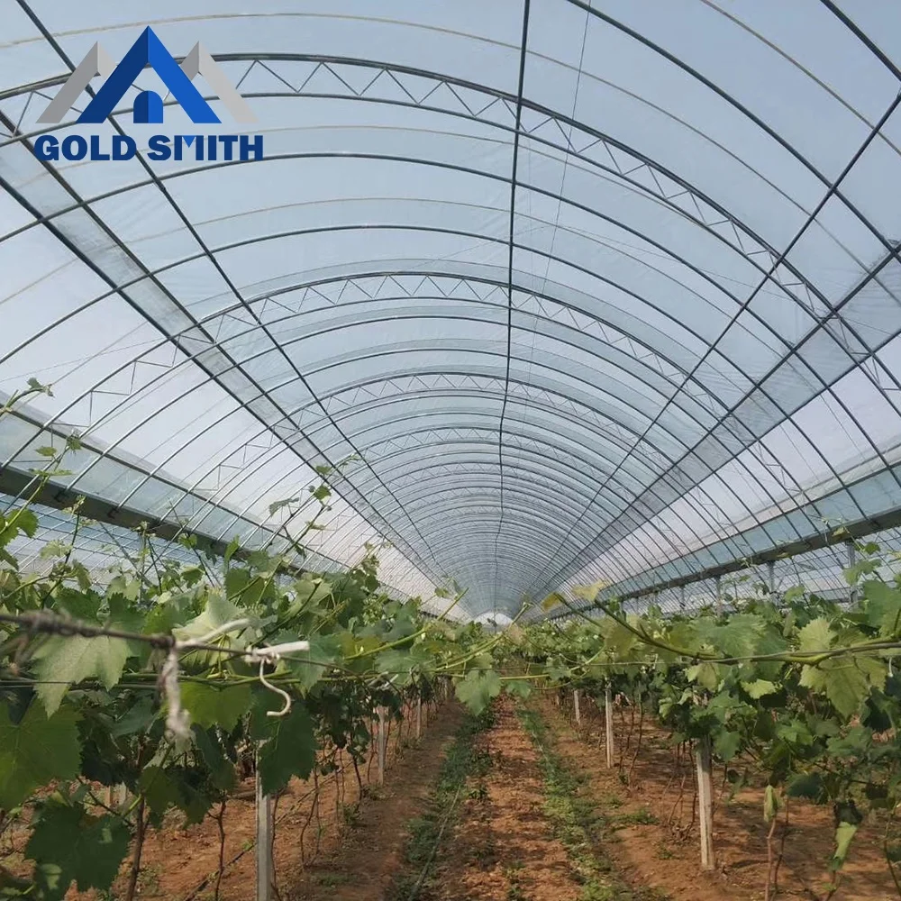 Low Cost Plastic Film Single Span Tunnel Greenhouse with High Quality
