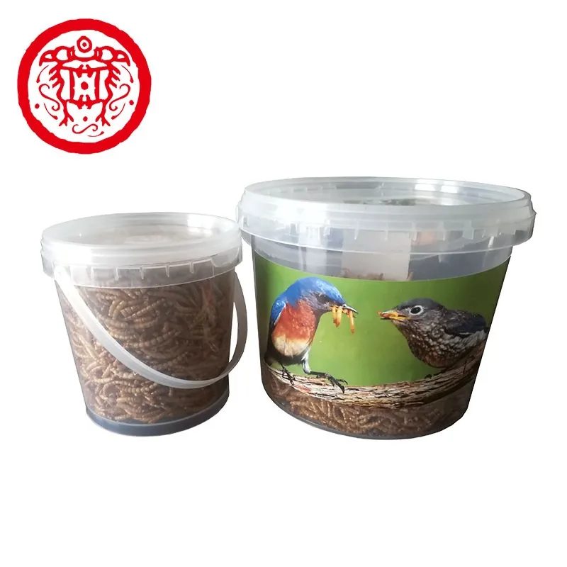
Live Dried Mealworm Bird Food Pet Feed Additives 