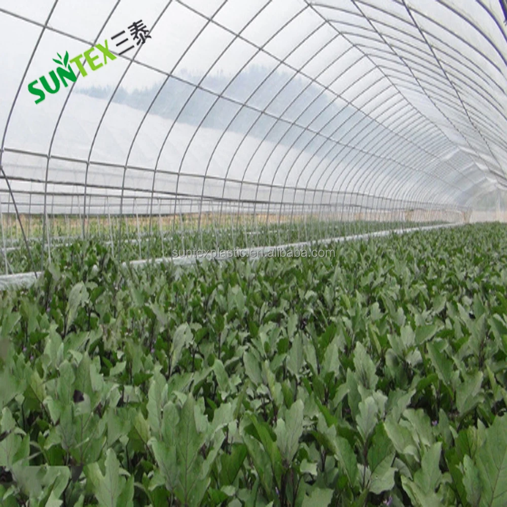 Выдувной молдинг, прозрачный LDPE с УФ пленкой для теплиц, 5 мил 6 мил 8 мил, сельскохозяйственная полиэтиленовая пленка, 4*50 м
