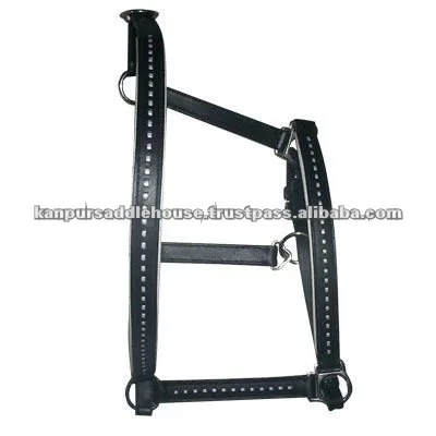 Модный головной убор лошади