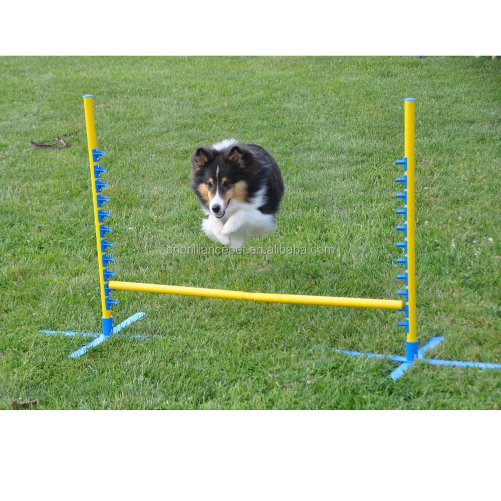 
Dogs Outdoor Games Agility Equipment ; Agility Jump; Pet Hoop Hurdle Bar 