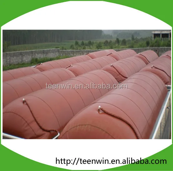 Teenwin 20m3 soft biogas/digester Plant for animal farm waste/stool treatment