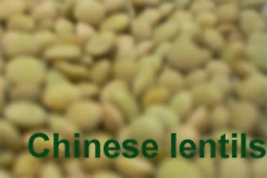 
 Китайская линза  