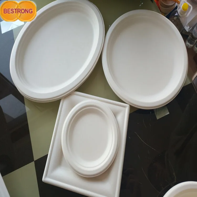 Environmental Bagasse Pulp for Tableware With Factory Price