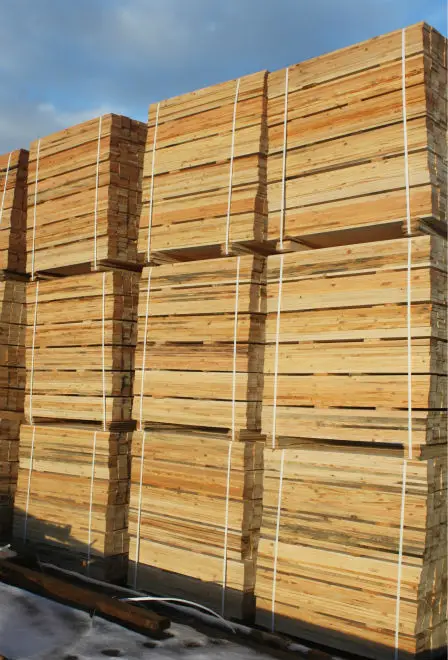 
Pine pallet lumber 