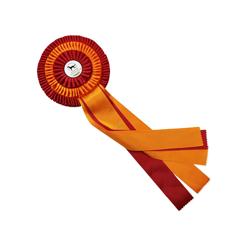 Лошадь шоу набор лент