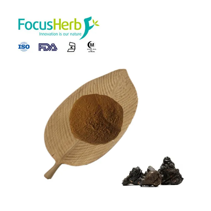 
ISO Natural Shilajit Extract With Best Price 