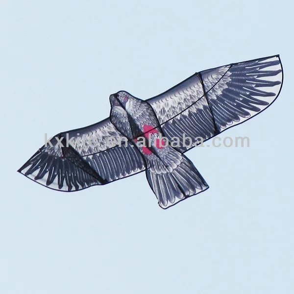 Outdoor Sports Big Bird Flying Kite