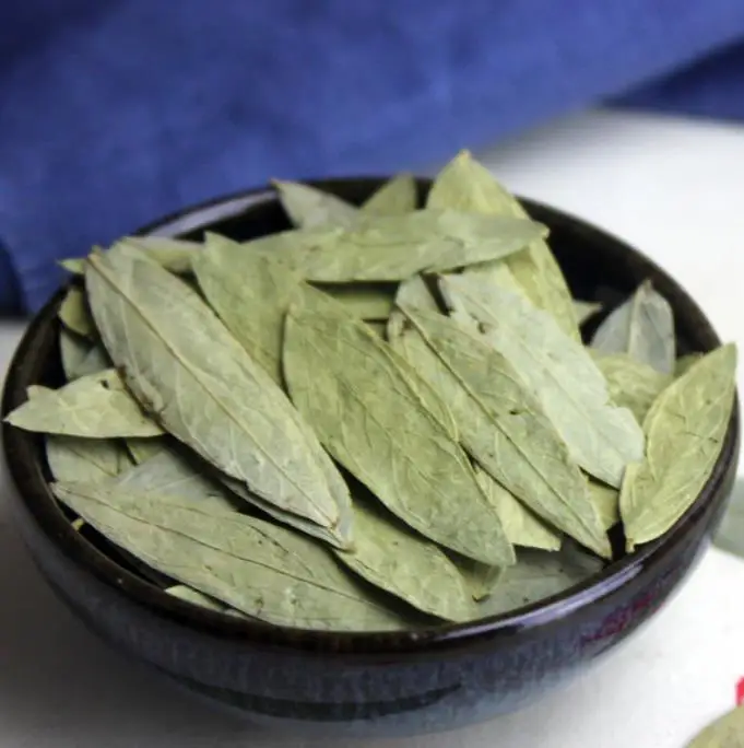 High quality raw Dried natural Indian Senna leaves