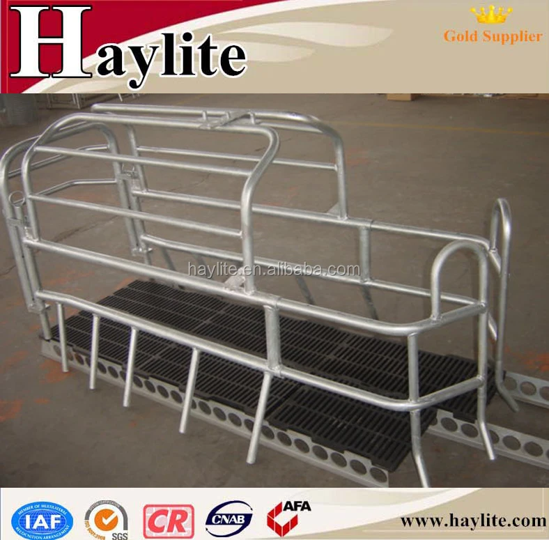 Wholesale PVC board steel sow farrowing crates for mother pig