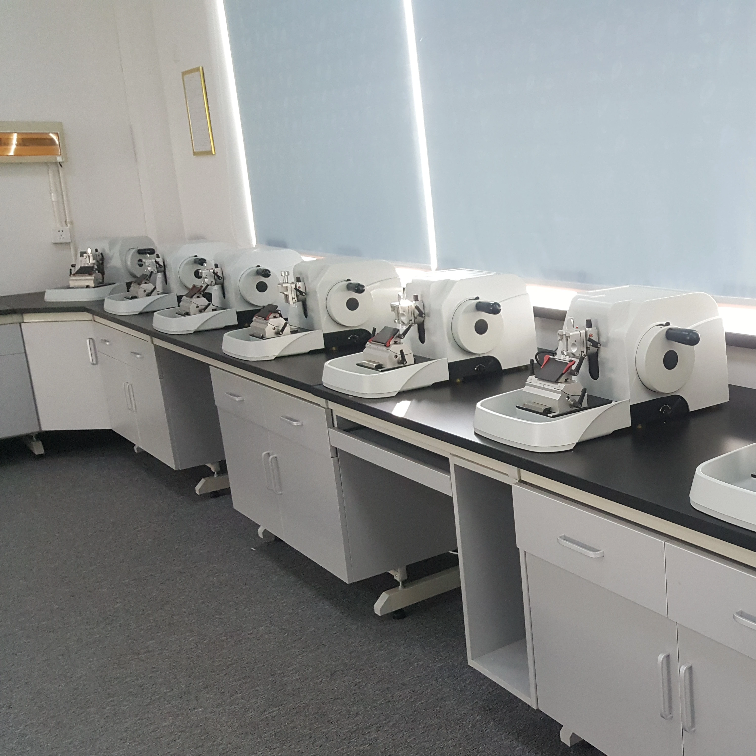 2-Mode Slicing Cutter for Pathology