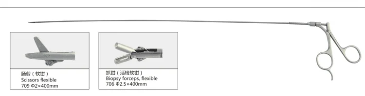 Biopsy sampling forceps, Anorectal instruments