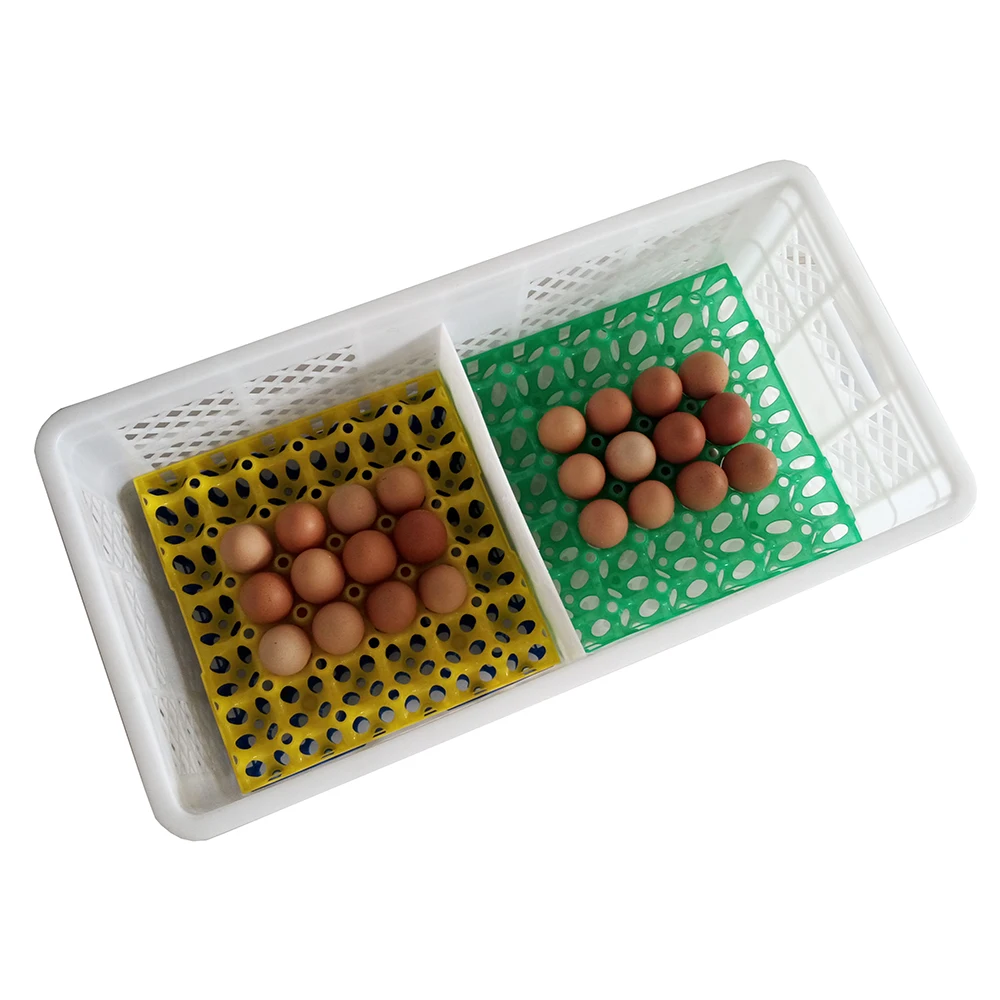 egg box plastic (6)