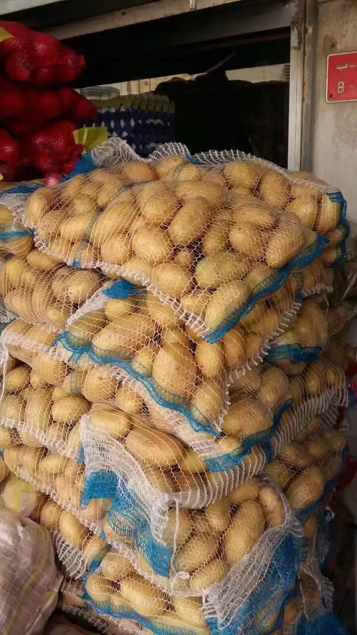 Original Fresh Potato for Export