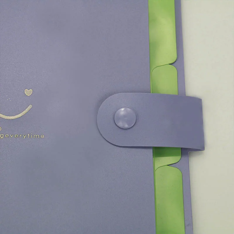 2020 Fashion type China supplier hard cover a3 file folder a3 hard cover file folder plastic file folder a4
