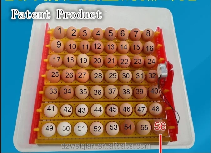 Good quality new agricultural machines automatic egg incubator 56 eggs double screen