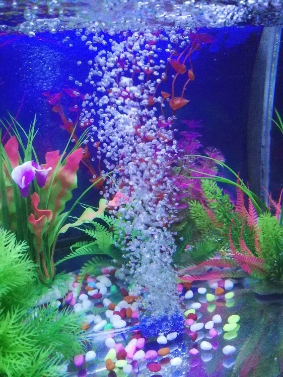 HiSin AS004-1-30 In bulk 20*30 Aquarium air stone for wastewater Hydroponics cylinder Air Pump Bubble stone Oxygen stone