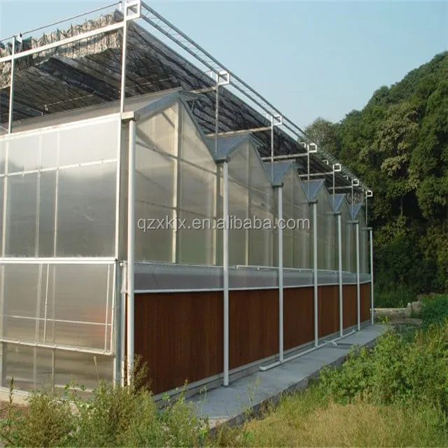High quality low price green house polycarbonate greenhouse kit agriculture for sale