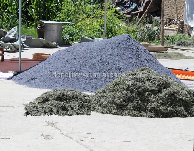 Wholesale Organnic Chinese Dried Lavender Flower Buds for fragrance