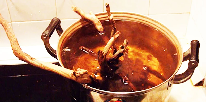 Натуральный водный аквариум NIHAO