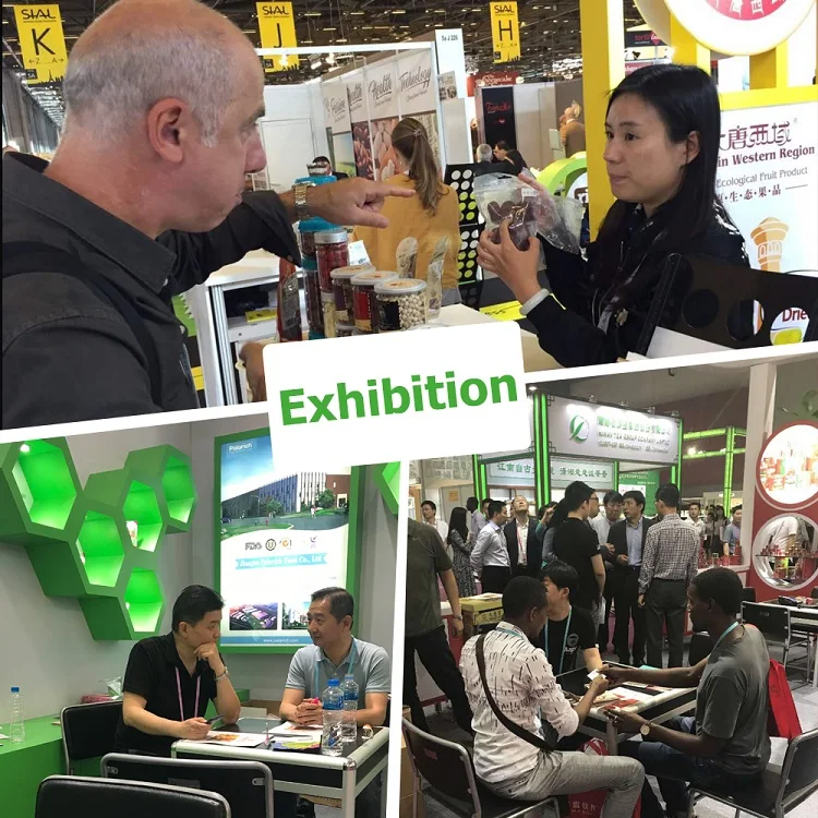 
China Red Date With Walnut Raw Meat Nuts Exporters 