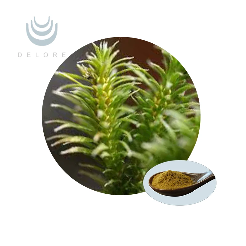 100% Natural Melaleuca Tower Extract and Huperzine A Powder