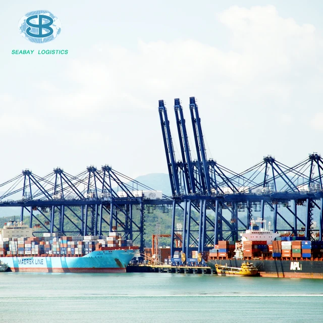 cheap sea freight forwarder services from china to ashdod haifa israel