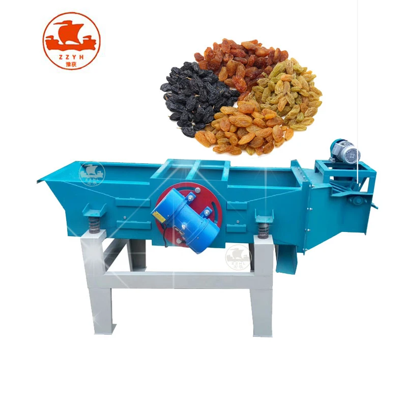 Stainless Steel Raisin Cleaning Drying Production Line Dried Grapes Production Line