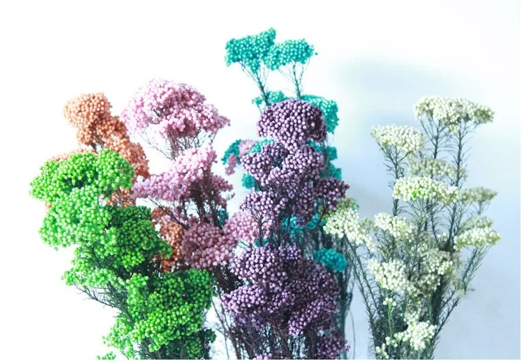 Wholesale  Natural Plant Real Millet Preserved Dried Flower Multi Colors Rice Flower For Wedding Decoration