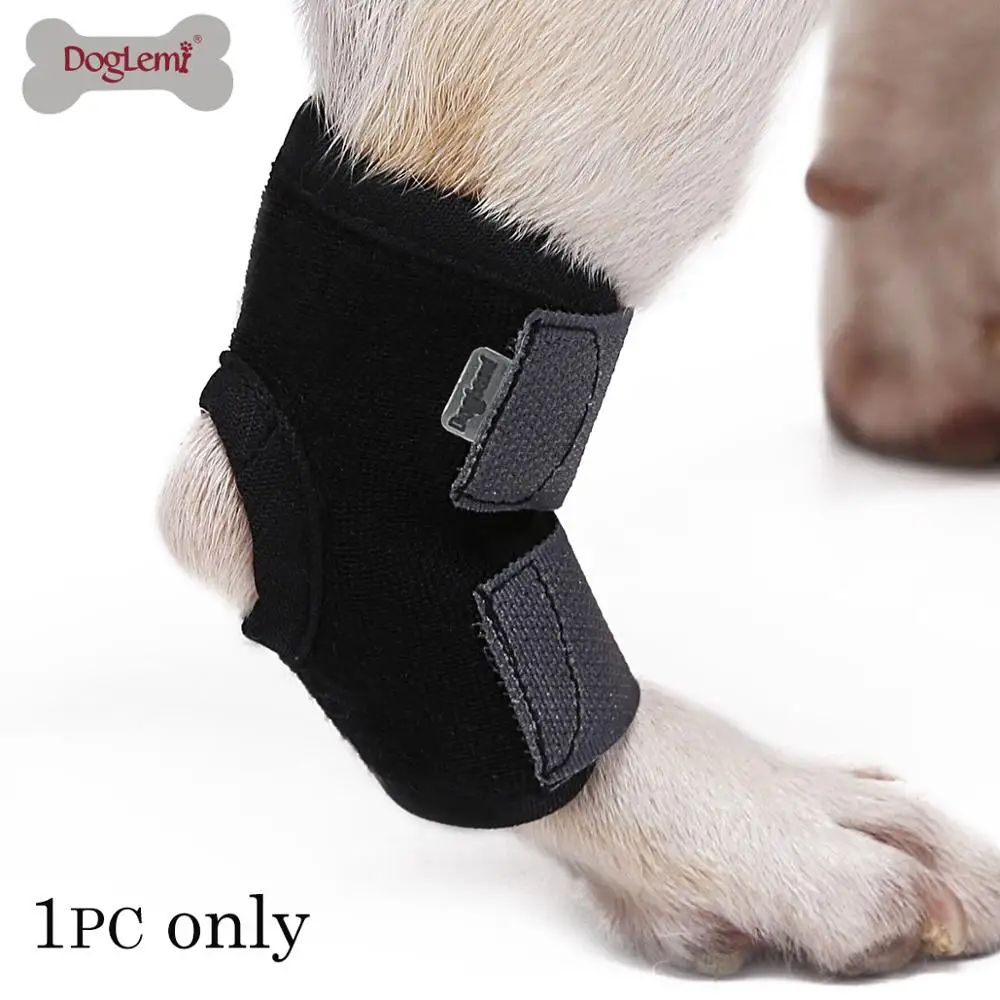 Soft Brim Protect Pet Wounds Dog Knee Brace