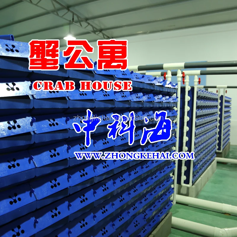 Indoor circulating water factory breeding crab,Indoor Crab House
