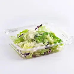 Hinged Disposable Plastic Container for Salad Tamper Proof Food Container