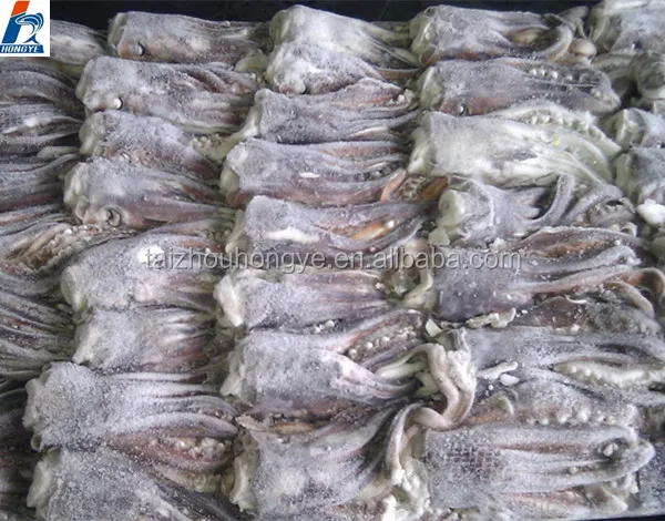 Illex/Gigas Giant /Pacific Squid frozen squid tentacles on sale