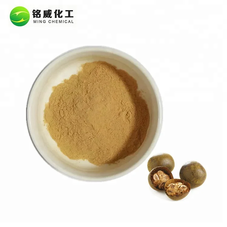 Bulk Organic Monk Fruit Extract 20% Mogroside V Luo Han Guo Extract Powder