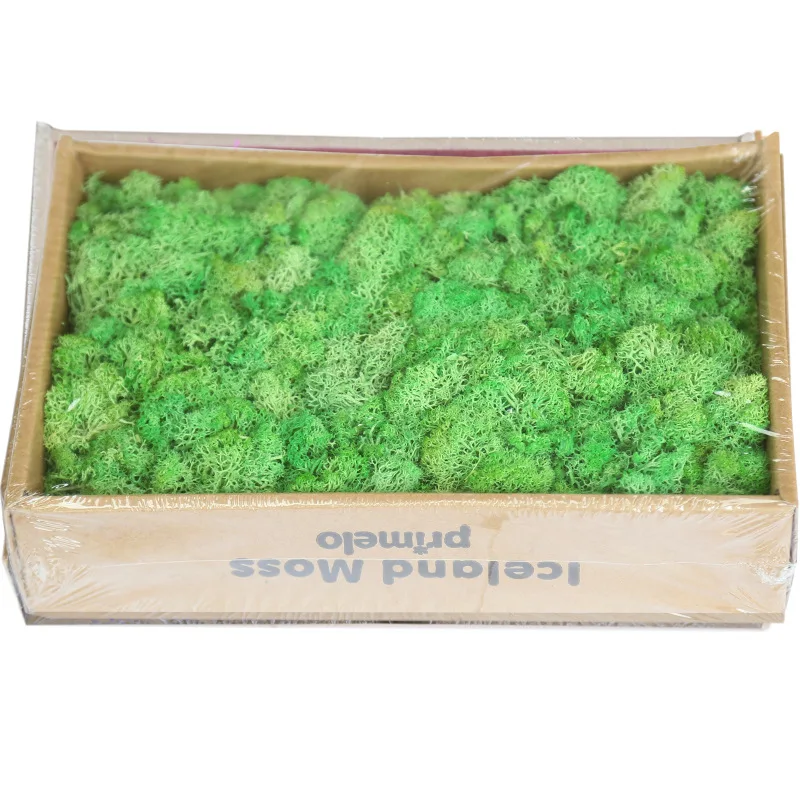 wholesale decorative moss 10 colors real touch preserved immortal moss for wedding backdrop decoration