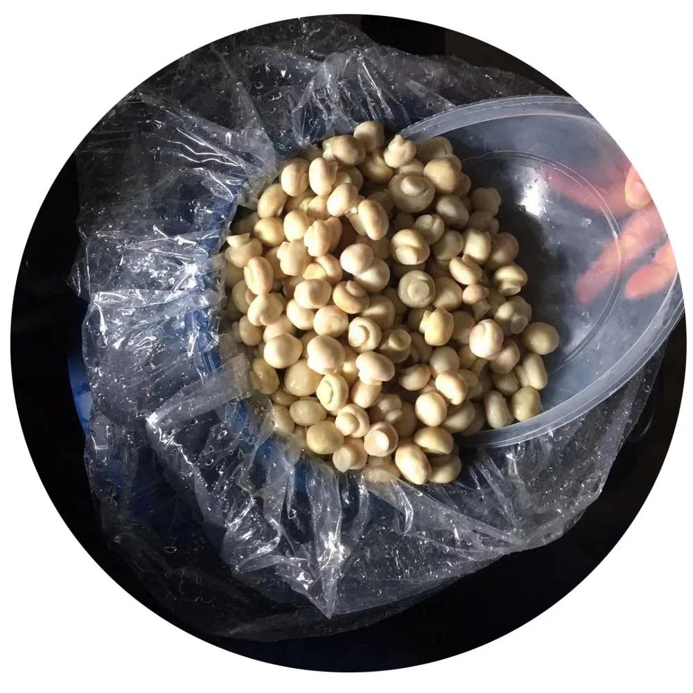 
Italy 2-2.5 cm whole champignon mushroom in vinegar in drums 