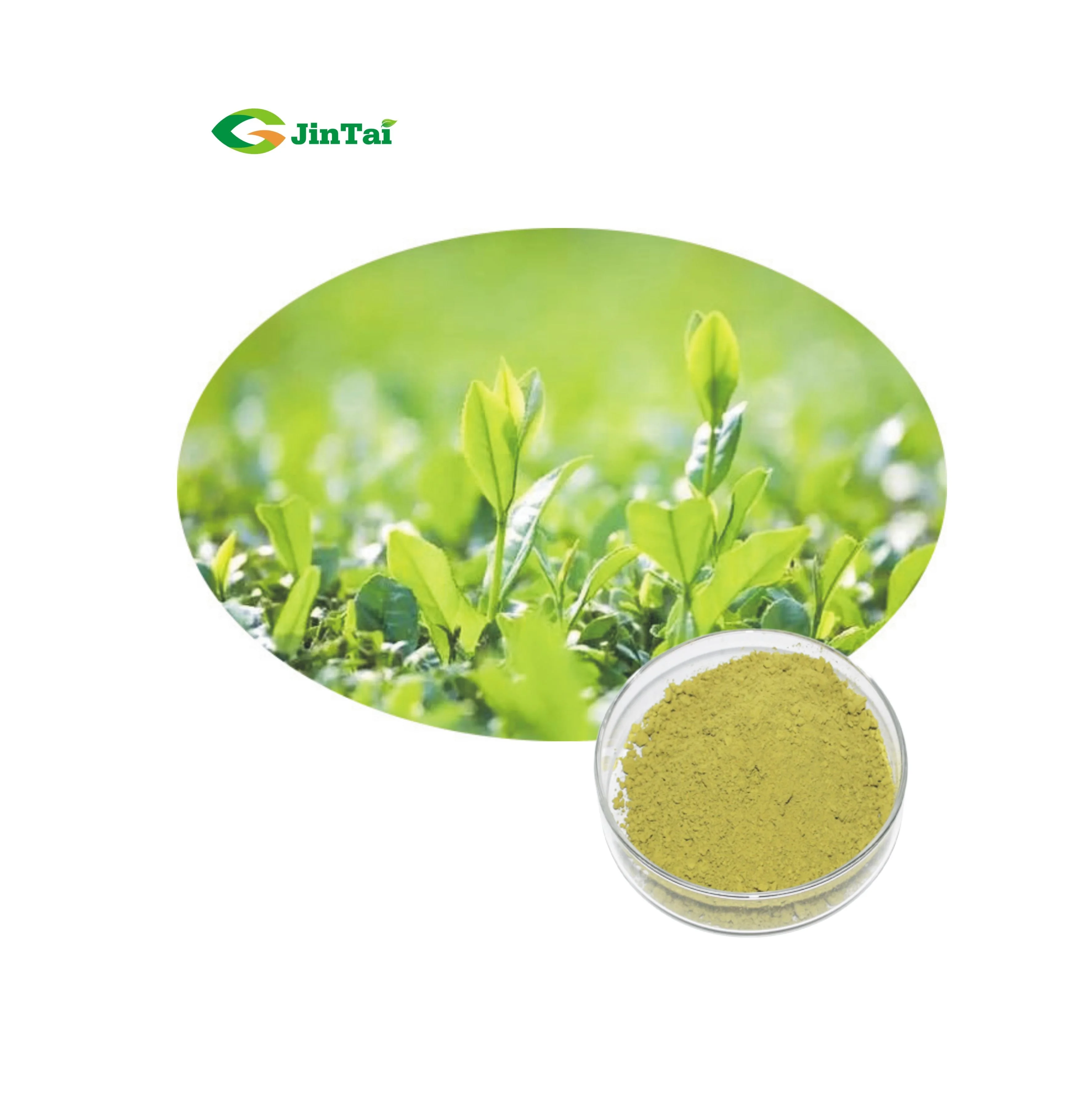 100% водорастворимый порошок зеленого чая маття