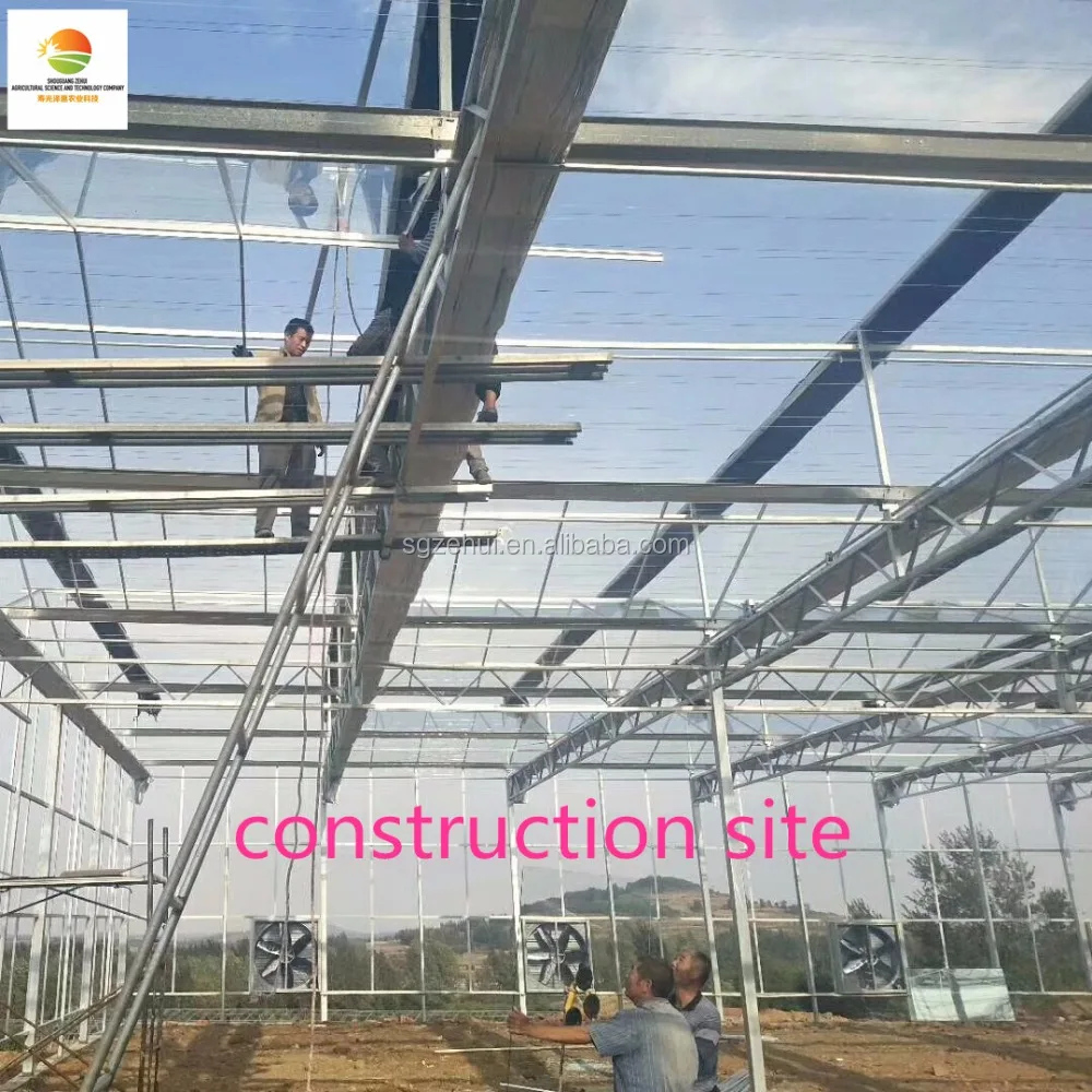 Multi-span intelligent commercial glass greenhouse