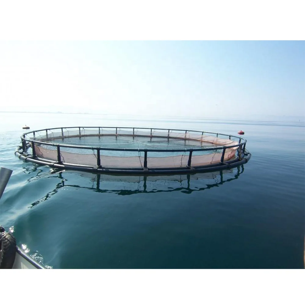 HDPE Floating Tilapia Fish Cage for Aquaculture Traps Chanos chanos