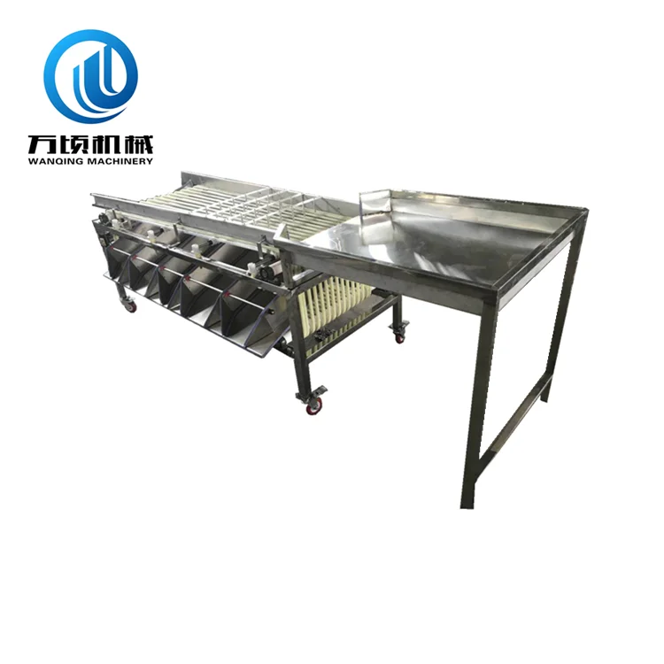 2019 new arrival fruits sorting machine equipment for fruit grading