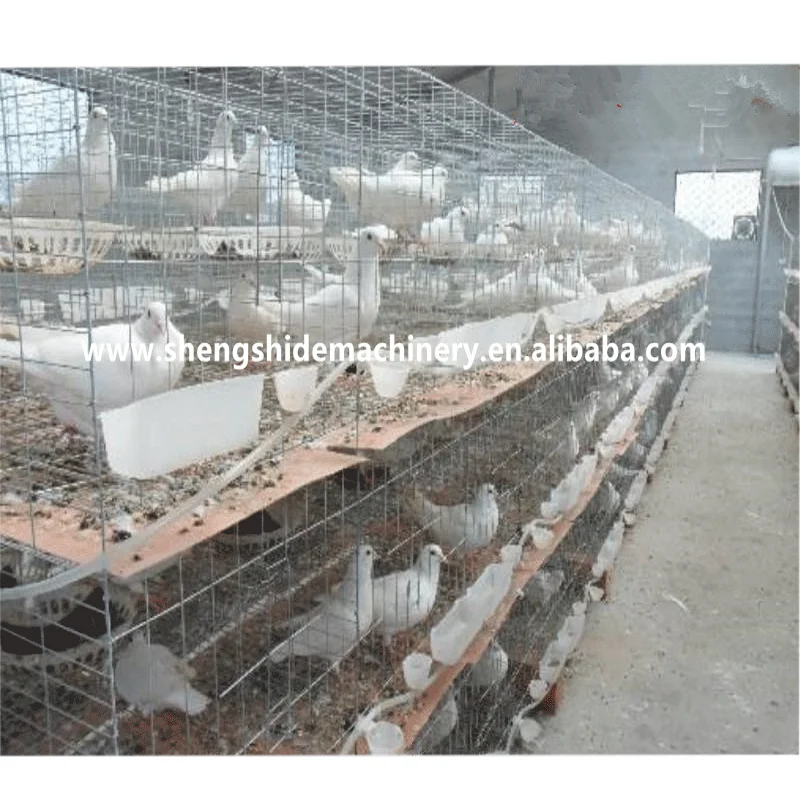 The superior fancy chicken cages for poultry farm