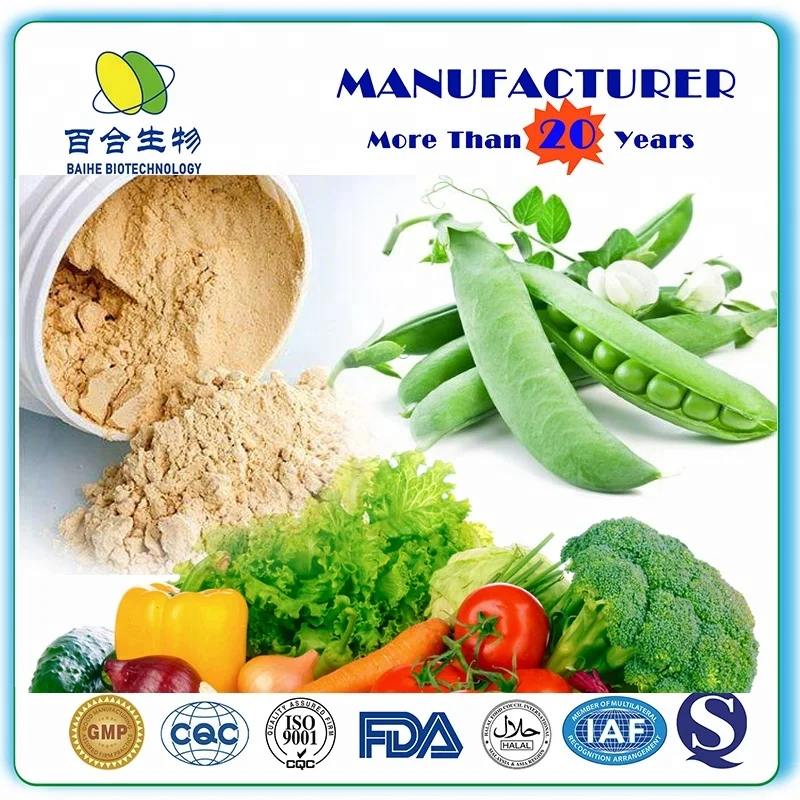 
GMP Certified Plant-based Nutrition Protein Chocolate Flavor 