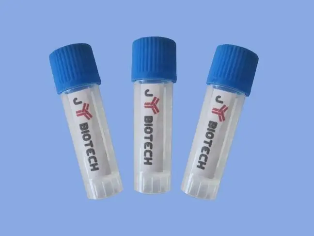 
Monoclonal Antibody to alpha-hCG 