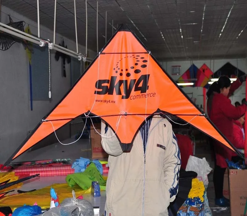 chinese sport stunt kite