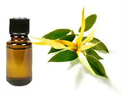 Pure Anise Oil