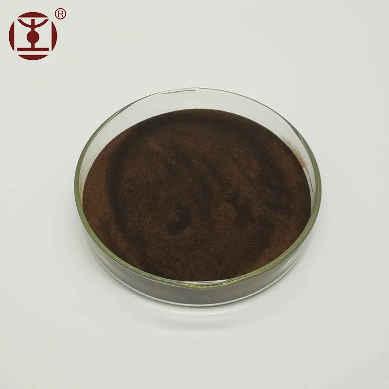 high quality turkey tail mushroom/ trametes coriolus/ versicolor extract